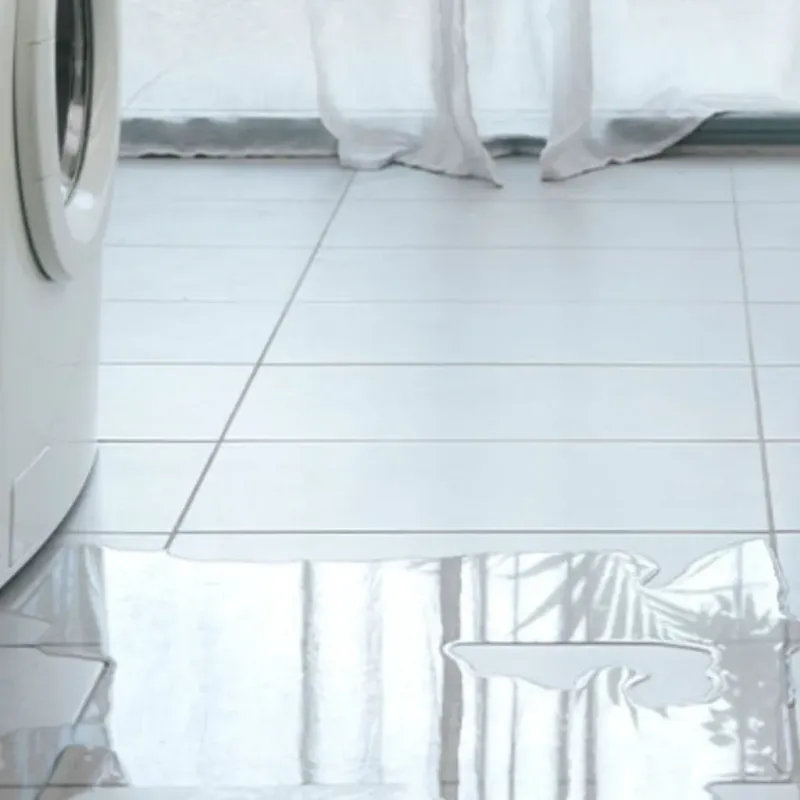 Appliance Leak Cleanup in Huntsville, MO