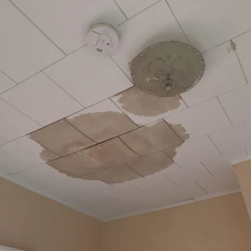 Ceiling Water Damage Repair in Huntsville, MO
