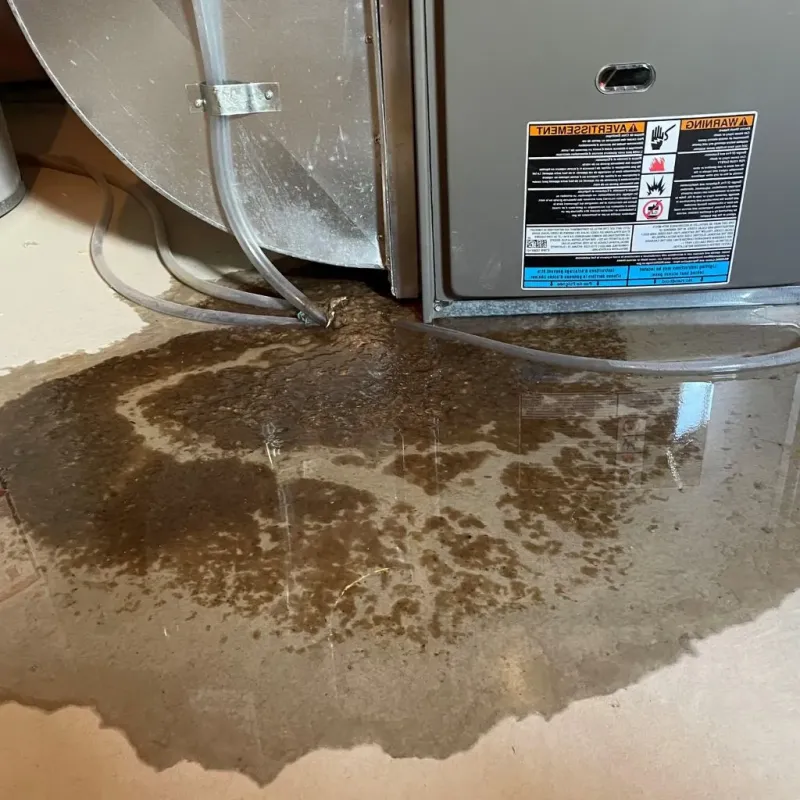 Pipe Burst and Leak Restoration in Huntsville, MO