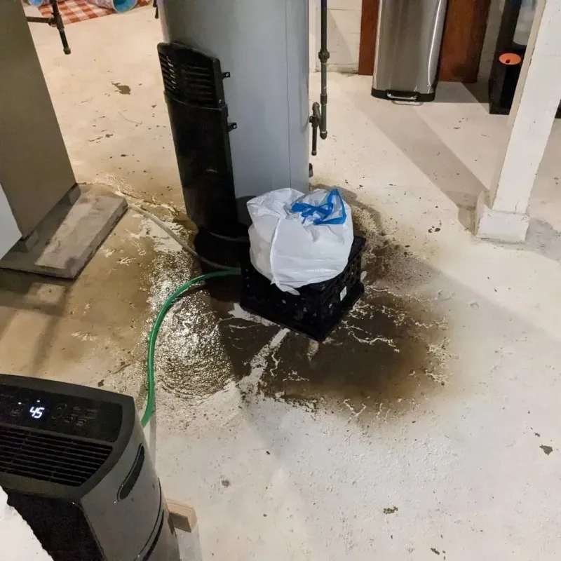 Sewage Backup Cleanup Service in Huntsville, MO